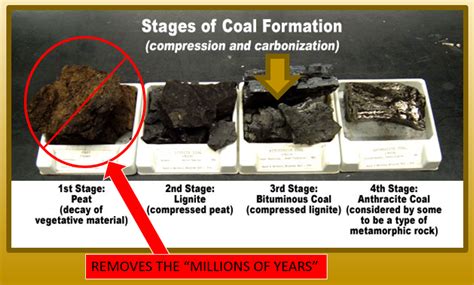 COAL FORMED RAPIDLY IN A LAB INSIDE OF ONE YEAR Evolution Is A Myth