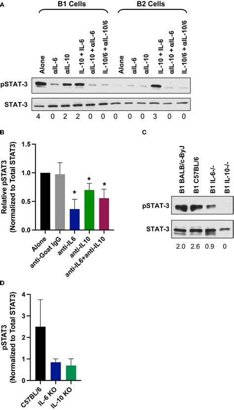 Frontiers Modulation Of Microbiome Diversity And Cytokine Expression