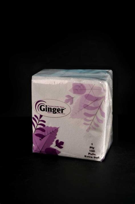 1 Ply Soft Tissue Paper Napkin Packet At Rs 18 5 Packet In Korba Id 23340429133