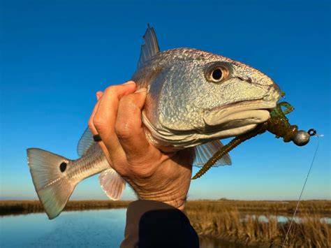 How to Fish West Winds in Louisiana | Sport Fishing Mag