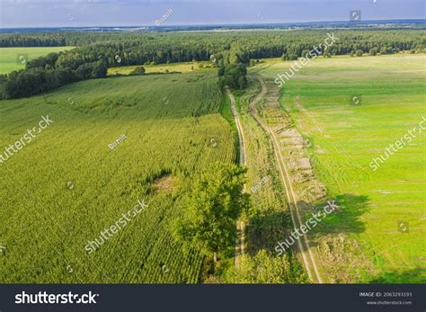 undulating terrain covered arable fields meadows stock photo