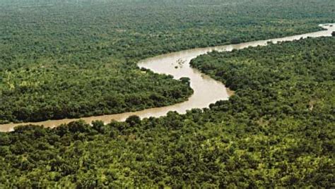 Gambia River | river, West Africa | Britannica