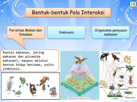 Interaksi Makhluk Hidup Dengan Lingkungannyappt