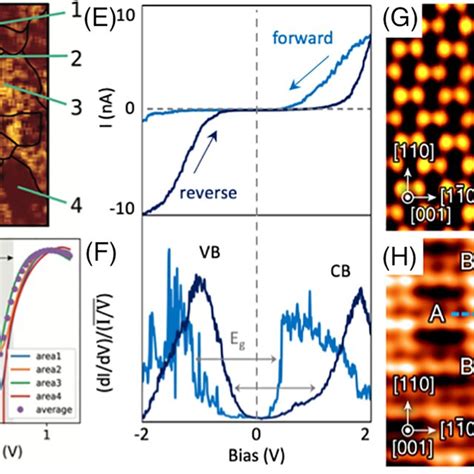 Influence Of Surface States Electric Field And Lightinduced Changes