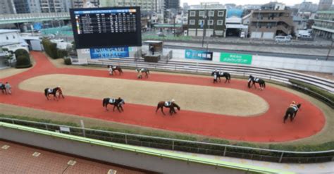 川崎競馬【🔥👊🏇激熱勝負🏇👊🔥】611（火）【9r】一騎当千（いっきとうせん）賞（発走時刻1855）｜さやだま