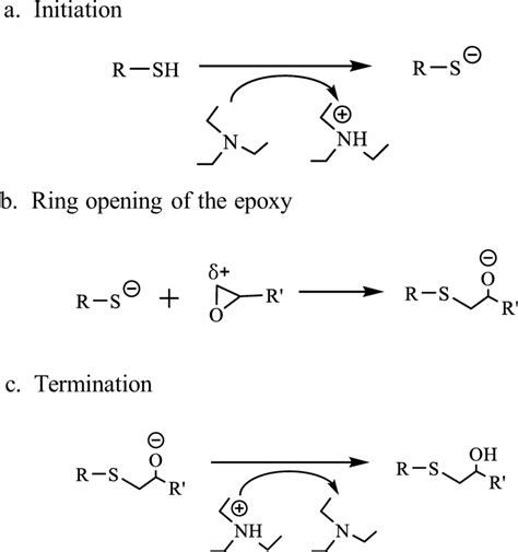 Schematic Representation Of The Mechanism Of Thiolepoxy Condensation