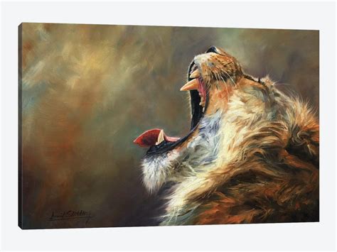 Lion Roar Canvas Art Print by David Stribbling | iCanvas