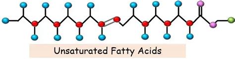 Difference Between Saturated and Unsaturated Fatty Acids (with ...