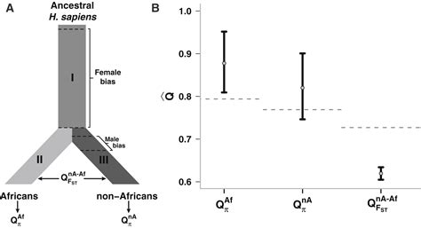 Estimators Of The Human Effective Sex Ratio Detect Sex Biases On