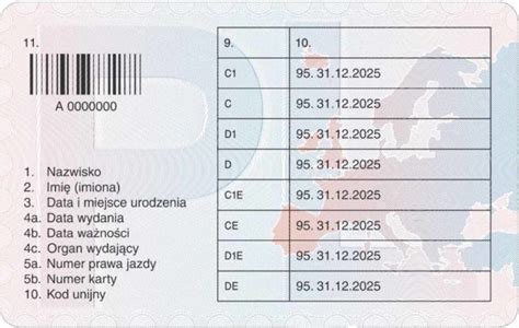 Karta Kwalifikacji Kierowcy Co to jest Jak uzyskać 2025 ABC