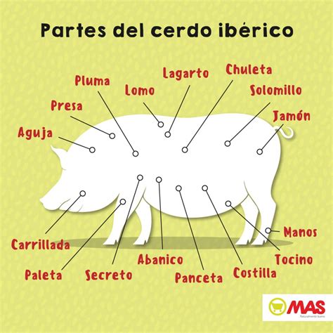 Partes Del Cerdo Principal Supermercados MAS