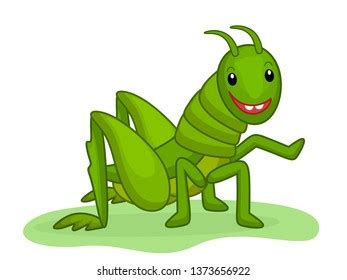 Cute Smiling Grasshopper Isolated Cartoon Vector Stock Vector Royalty