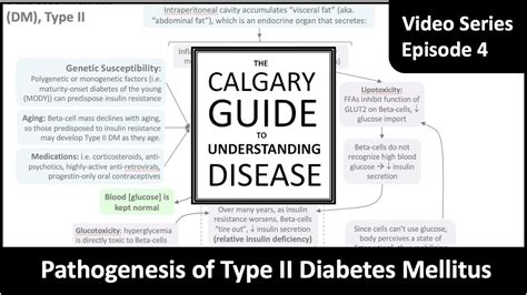 Diabetes Mellitus Type 2 Signs And Symptoms