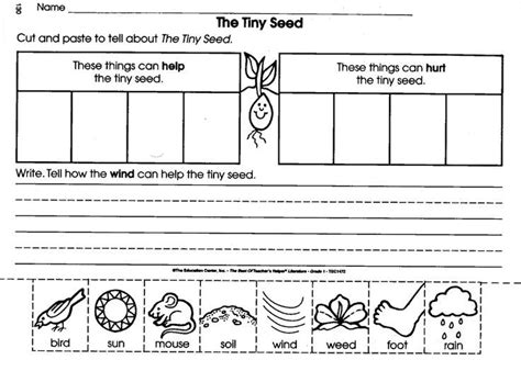 Best The Tiny Seed Comprehension Questions