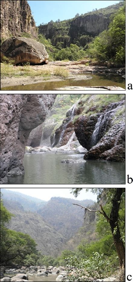 Habitat And Abundance Of The Neotropical Otter Lontra Longicaudis