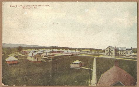 POSTCARDS: 1911~MONT ALTO,PA~White Pine Sanatarium