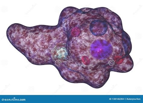 Protozoario De Los Gingivalis Del Entamoeba Stock De Ilustración Ilustración De Ciencia