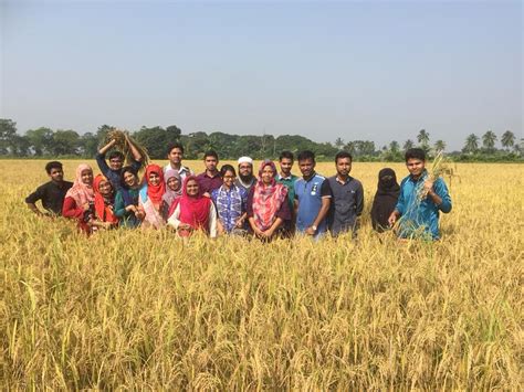 Bangladesh Agricultural University Bau Premier Agricultural