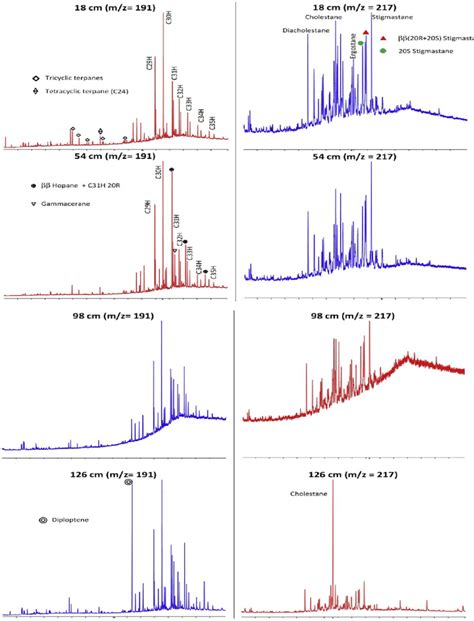 Gc Ms Chromatograms Showing The Distribution Of Terpanes M Z