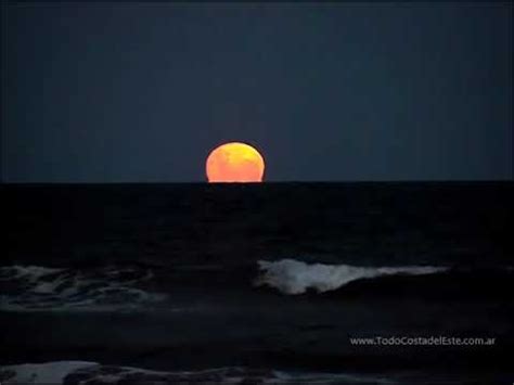 Limpiar El Piso Escribe Un Reporte Moneda Luna Saliendo Sobre El Mar