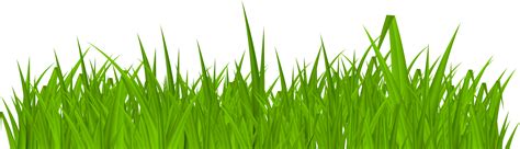 Grass PNGs for Free Download