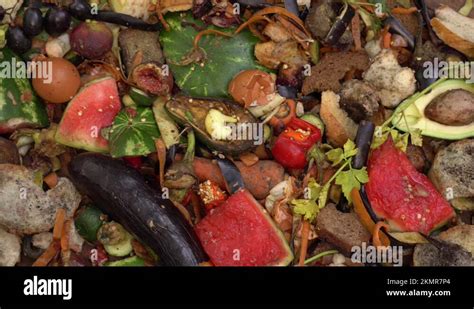 Organic Kitchen Waste Heap Food Loss And Food Waste Left Over Organic