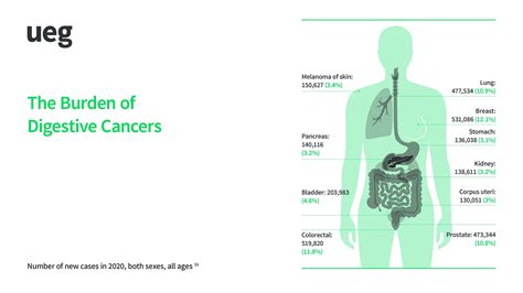 White Book 2 Ueg United European Gastroenterology