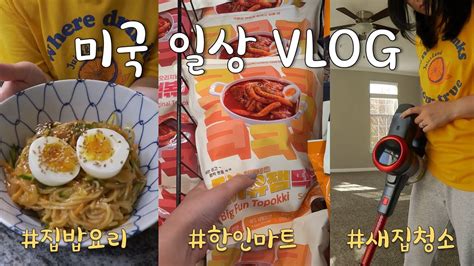 국제커플 미국일상 Vlog🇺🇸한인마트 장보기 하울 미국 이사 준비 바누 무선청소기 비빔국수 집밥 브이로그 Youtube