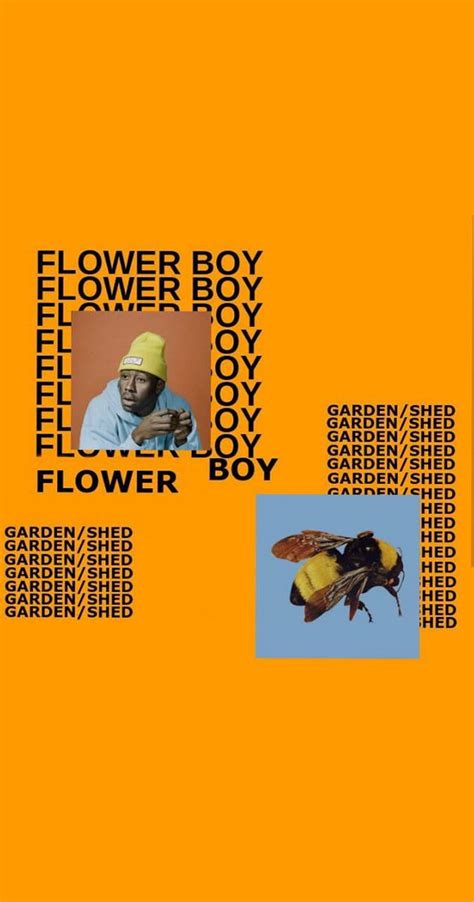 Flower Boy Tyler The Creator Flower Boy Hd Phone Wallpaper Pxfuel