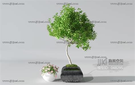 H54 0629植物盆景盆栽绿植花盆3d模型下载 【集简空间】「每日更新」