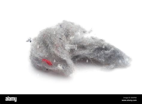 Clipart Dust Bunny