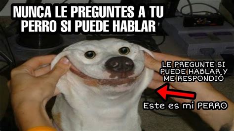 Nunca Le Preguntes A Tu PERRO Si Puede Hablar Yo Pregunte Al Mio Con