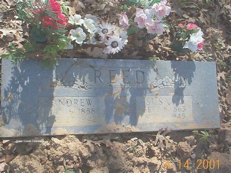 Susan Louisa Lucas Reed M Morial Find A Grave