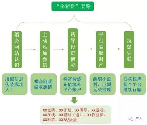 最新“杀猪”攻略：同性恋、大龄剩女、饥渴男，谁都跑不了 知乎