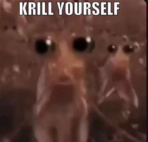 Krill Yourself Krill Yourself Krill Issue Krill Puns Know Your Meme