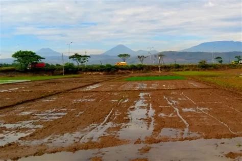 7 Kecamatan Tersempit di Kendal Nomor 1 Luasnya Hanya 23 5 Km²