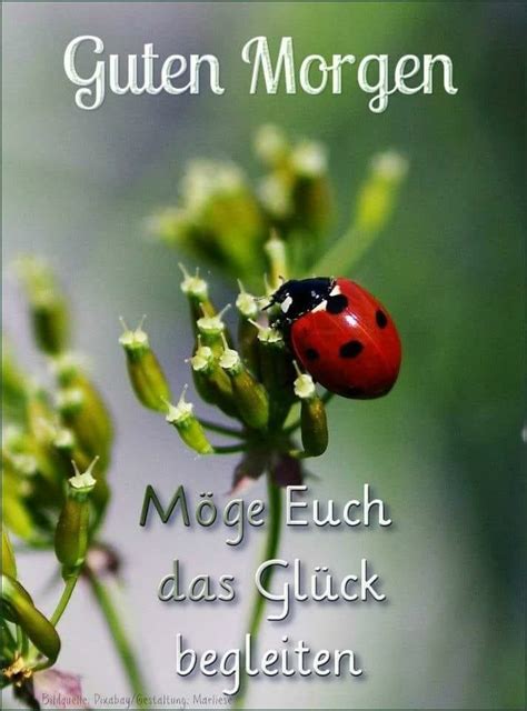 Pin Von Lucy Auf Guten Morgen Sch Ne Guten Morgen Spr Che Guten