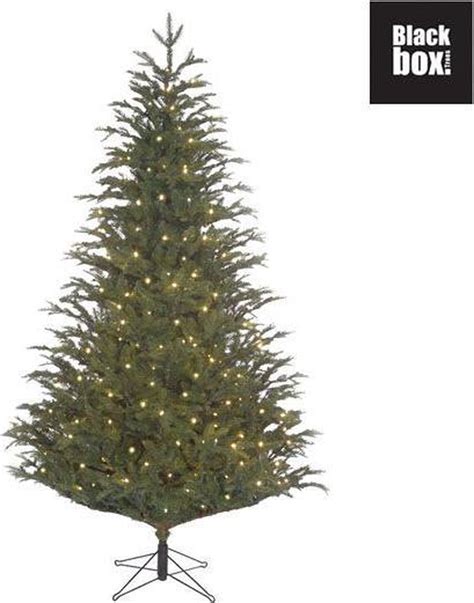 Black Box Trees Frasier Kunstkerstboom Met LED Verlichting H260 Cm