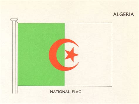 ALGERIA FLAGS National Flag 1965 Old Vintage Print Picture