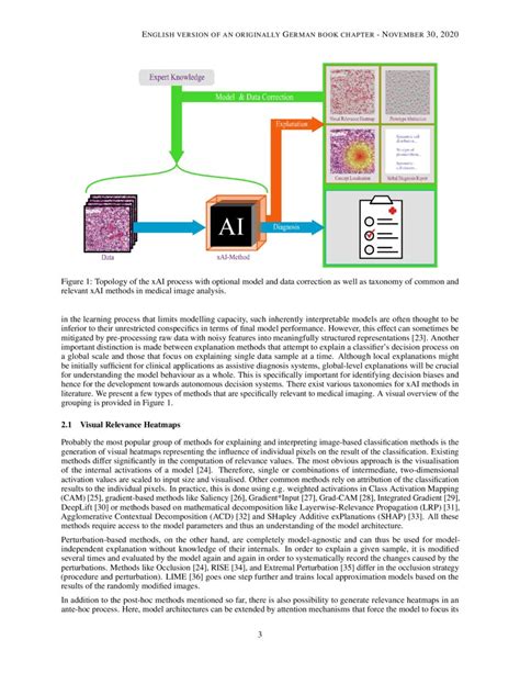 Achievements And Challenges In Explaining Deep Learning Based Computer