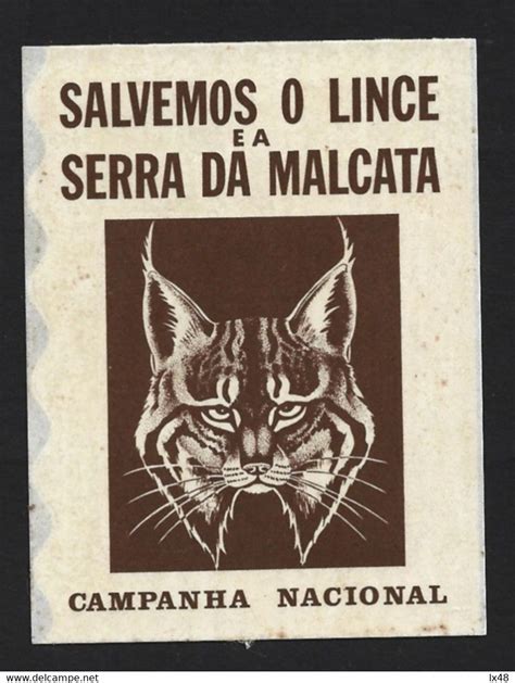 Animali Lince Da Serra Da Malcata Autocolante Da Campanha Nacional