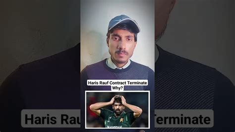 Pcb Terminated Haris Rauf Central Contract Why Cricket Update News