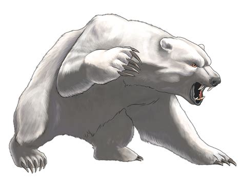 Polar Bear PNG Transparent Images, Pictures, Photos