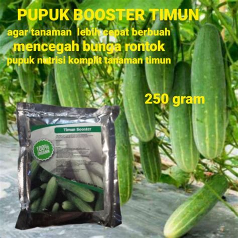 Jual Pupuk Khusus Tanaman Mentimun Booster Agae Cepat Berbuah Lebat