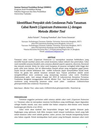 View Of Identifikasi Penyakit Oleh Cendawan Pada Tanaman Cabai Rawit