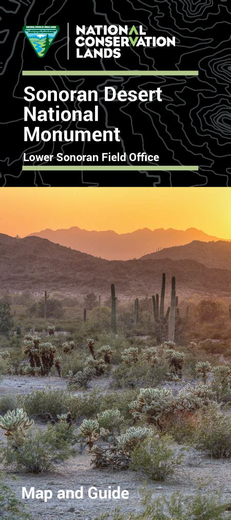 Sonoran Desert National Monument