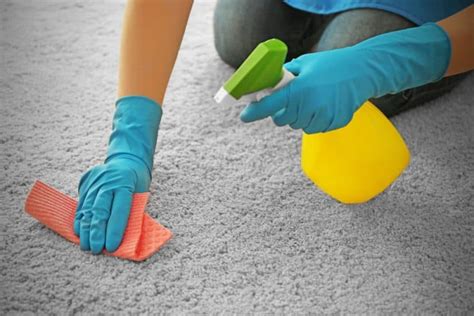 Top Carpet Cleaning Tips - Clean That Carpet