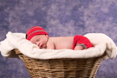 Newborn Baby Sleeping In A Basket Stock Photo Image Of Basket