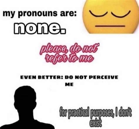 My Pronouns Are None Preferred Pronouns Know Your Meme