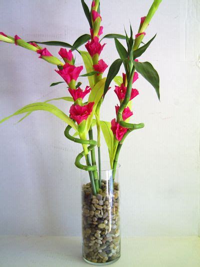 28 best ideas about Lucky Bamboo! on Pinterest | Plants, Office plants and Valentine heart